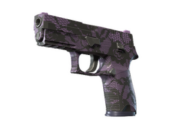 P250 | 绛络