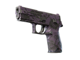 P250 | 绛络