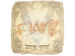 印花 | FlameZ | 2025年奥斯汀锦标赛
